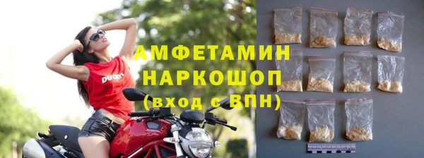 стафф Надым