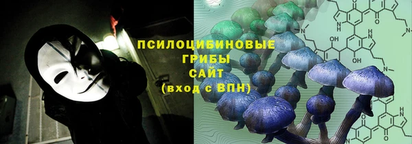 стафф Надым